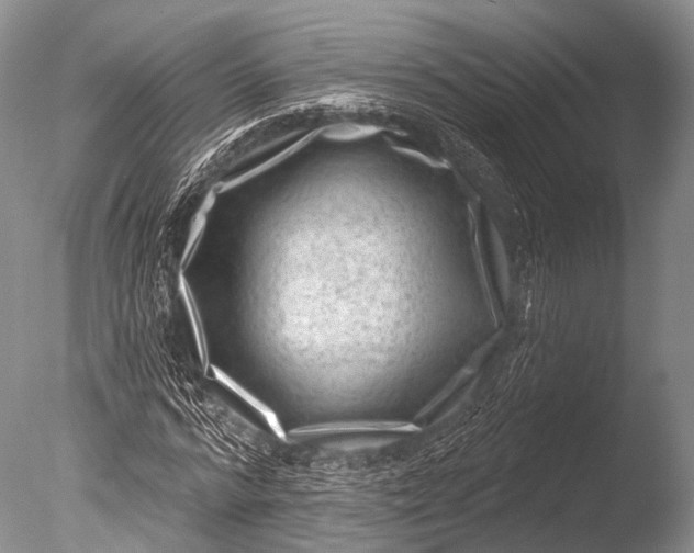 X0000085800776200703301457