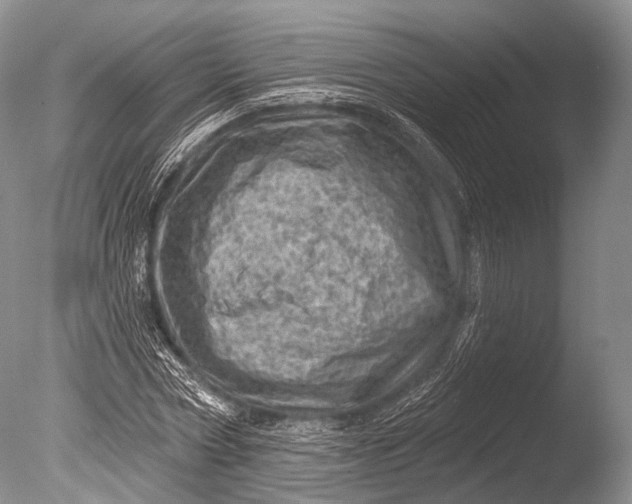 X0000085800778200703301457