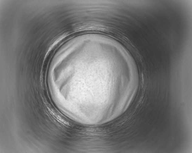 X0000085800780200703301457