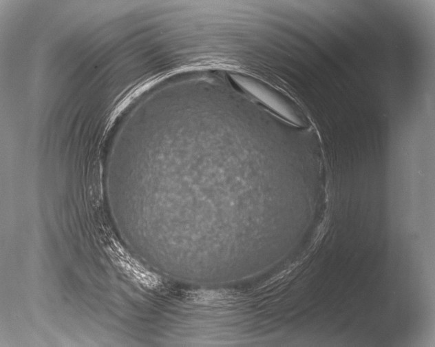 X0000085800781200703301457