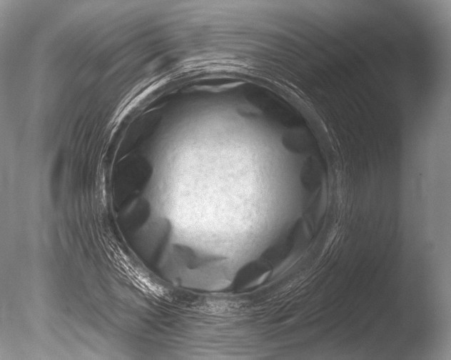 X0000085800782200703301457