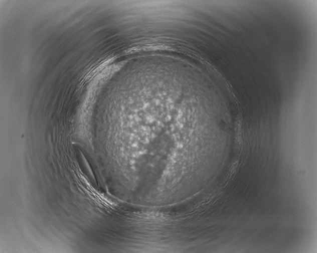 X0000085800785200703301457