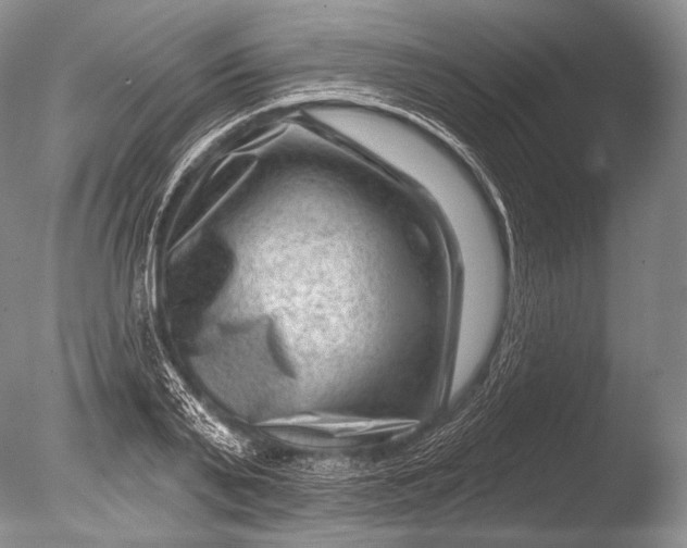 X0000085800791200703301457