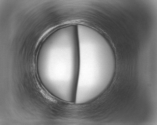 X0000085800792200703301457