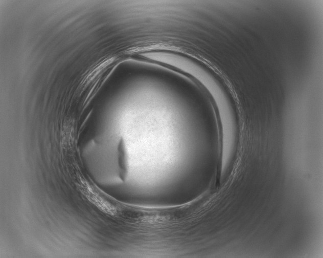 X0000085800793200703301457