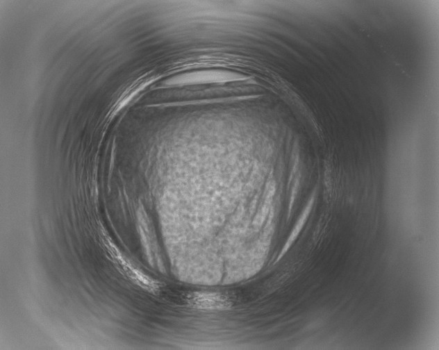 X0000085800794200703301457