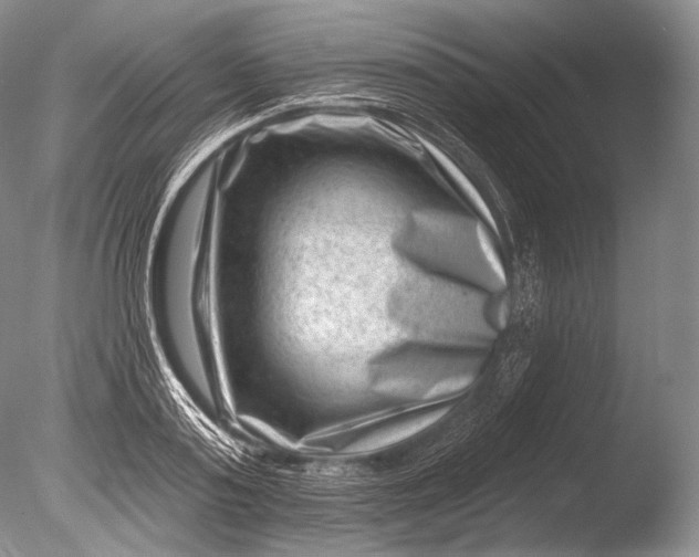 X0000085800795200703301457