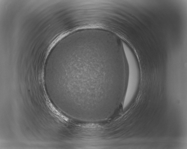 X0000085800797200703301457