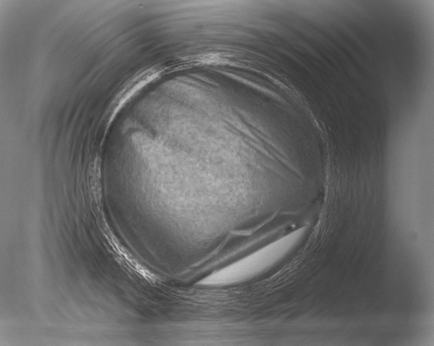 X0000085800798200703301457