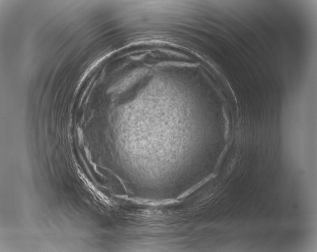 X0000085800799200703301457