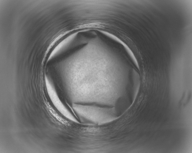 X0000085800800200703301457