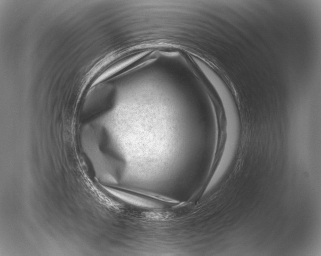 X0000085800805200703301457