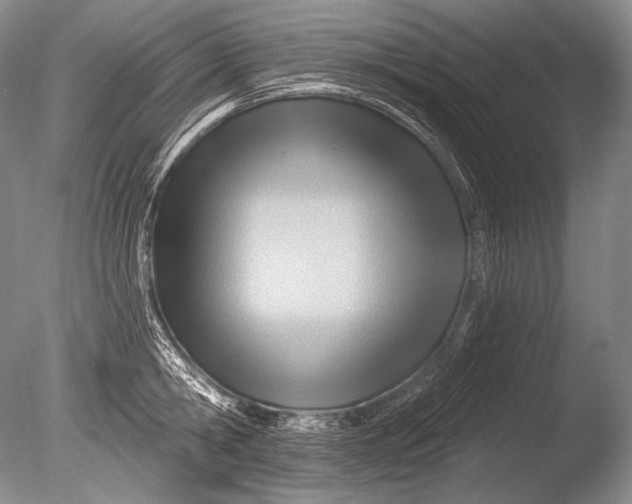 X0000085800806200703301457