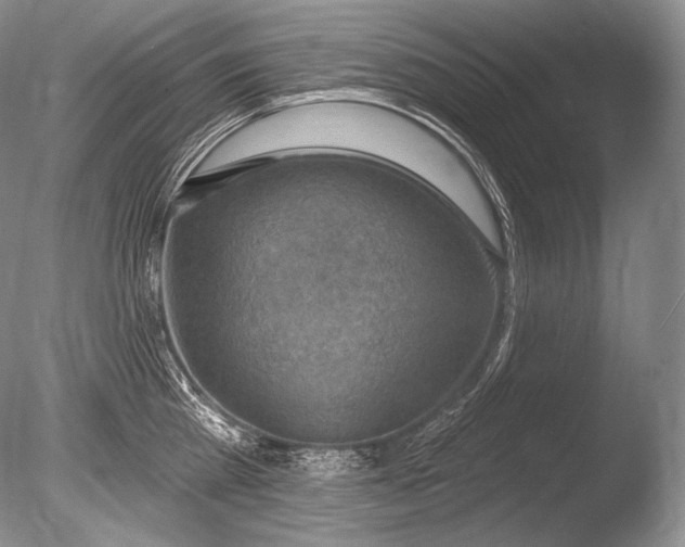 X0000085800809200703301456