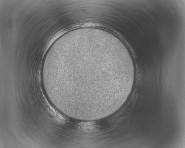 X0000085800810200703301456