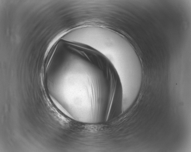 X0000085800812200703301456