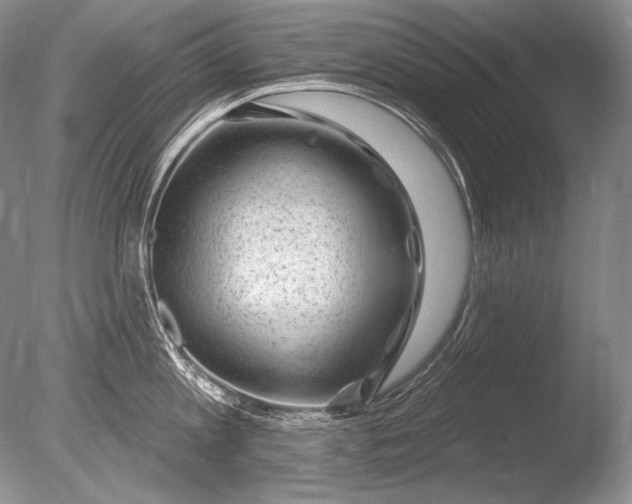 X0000085800813200703301456