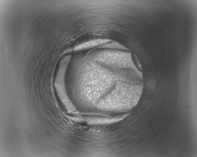 X0000085800817200703301456