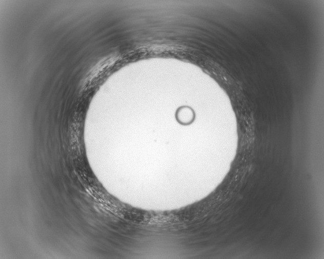 X0000085800824200703301456