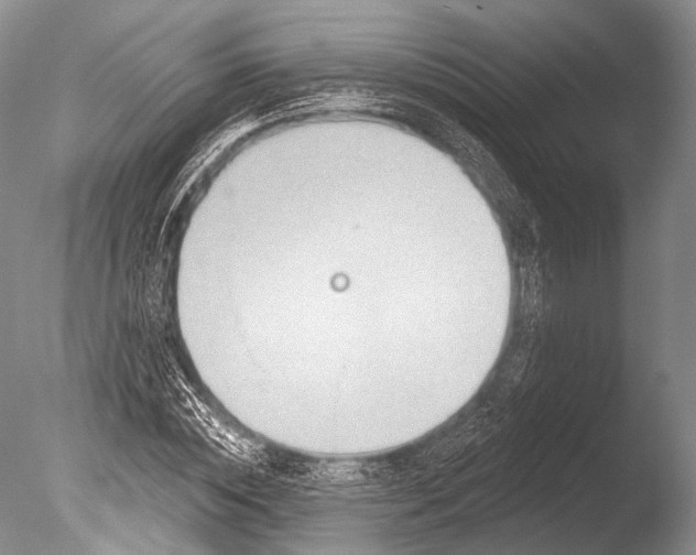 X0000085800828200703301456