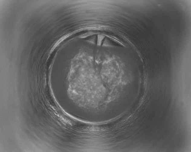 X0000085800829200703301456