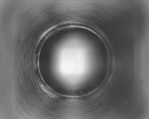 X0000085800830200703301456