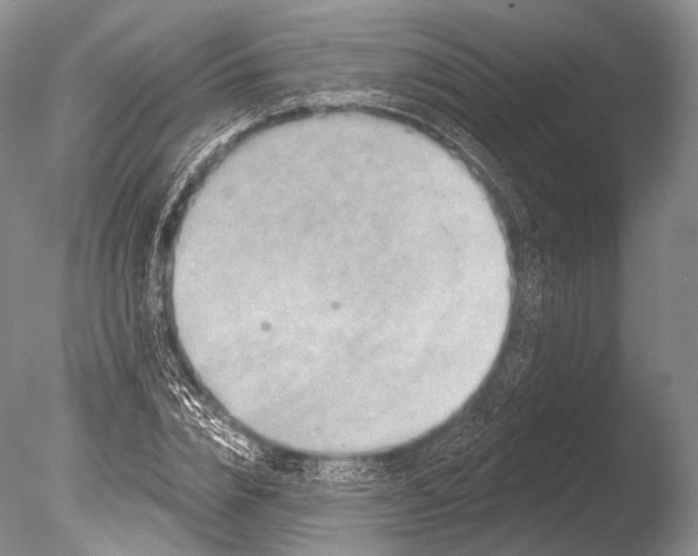 X0000085800832200703301456