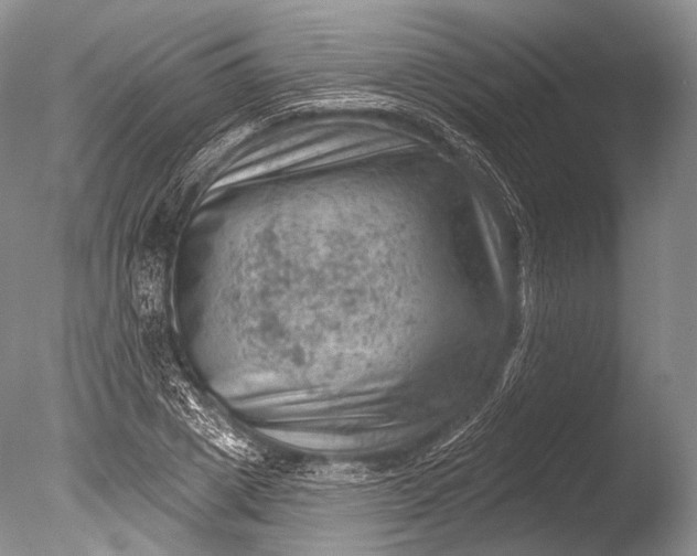 X0000085800833200703301456