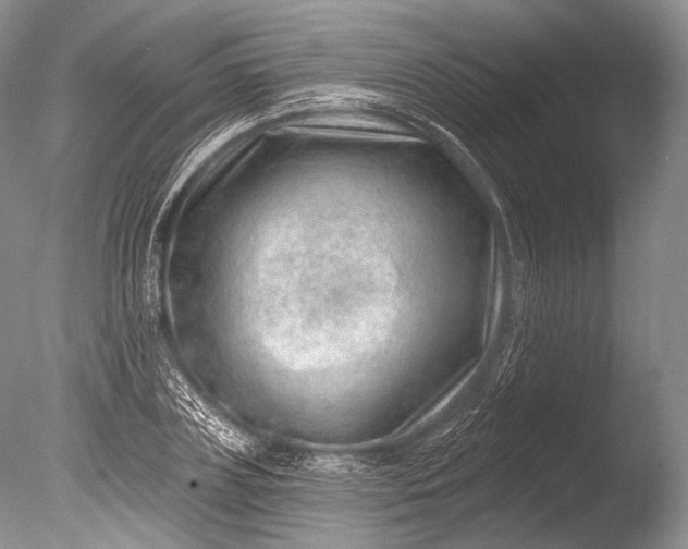 X0000085800835200703301456