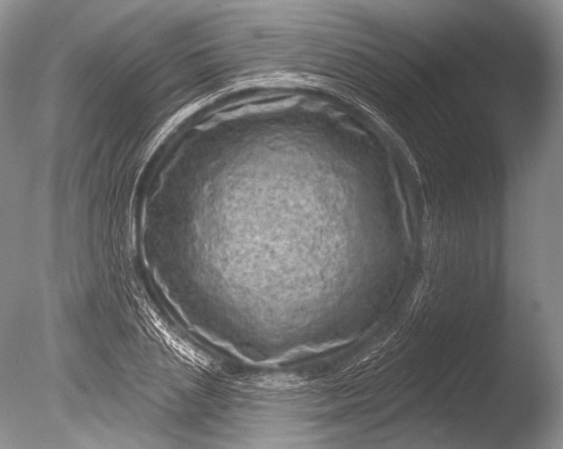 X0000085800837200703301456