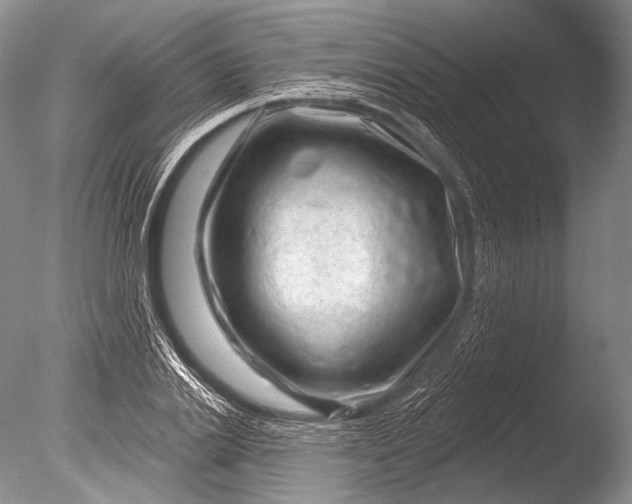 X0000085800838200703301456