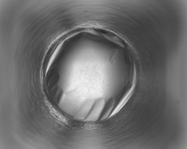 X0000085800840200703301456