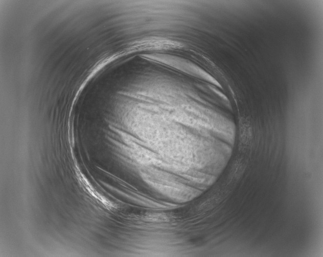 X0000085800843200703301456