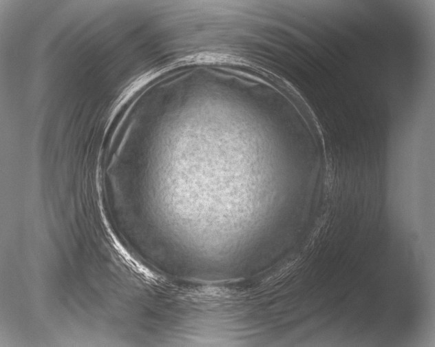 X0000085800847200703301456