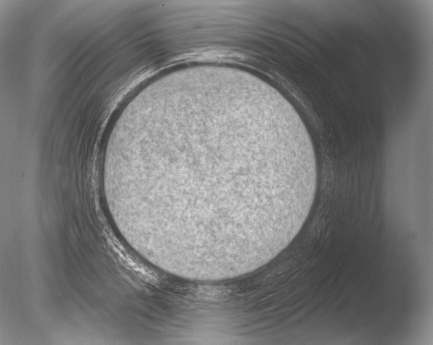 X0000085800848200703301456