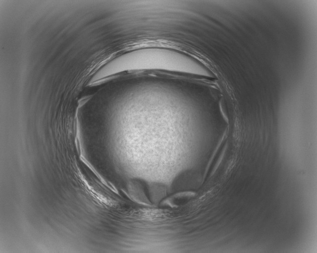 X0000085800849200703301456