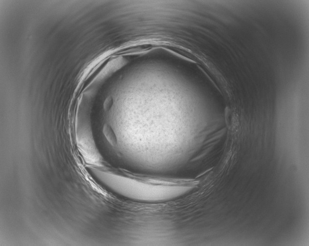 X0000085800854200703301456