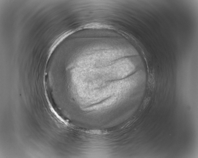 X0000085800855200703301456