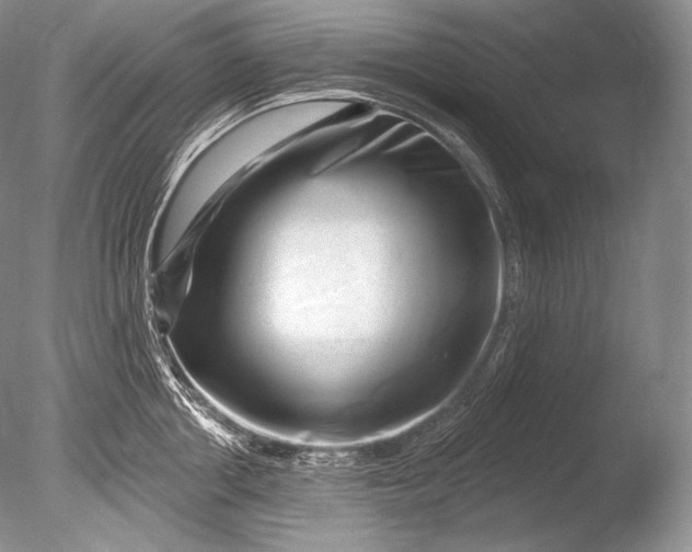 X0000085800858200703301456