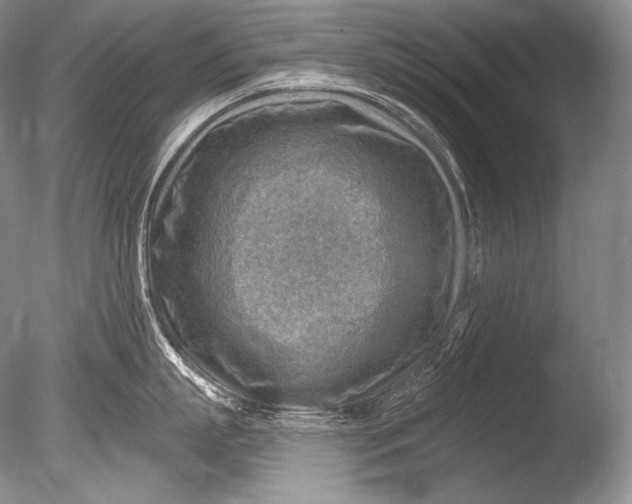 X0000085800863200703301456