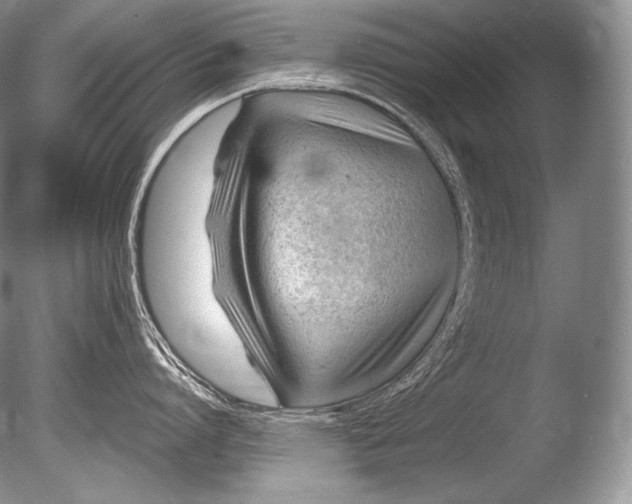 X0000085800864200703301456