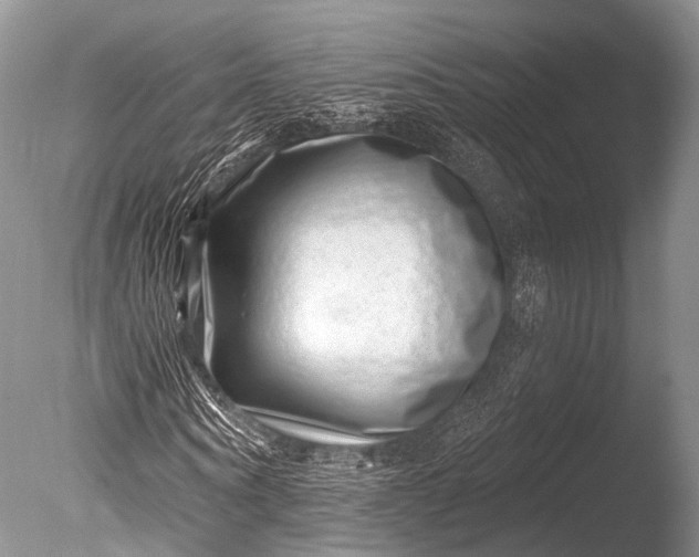 X0000085800866200703301455