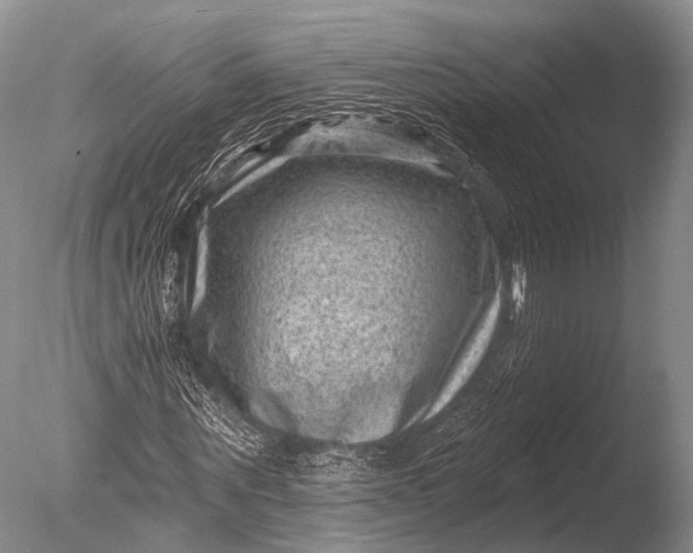 X0000085800867200703301455