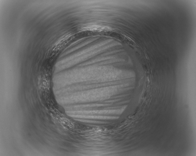 X0000085800869200703301455