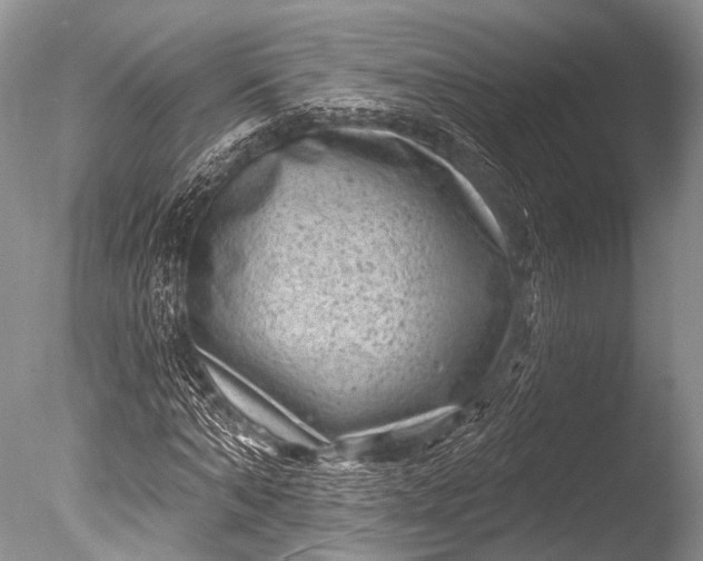 X0000085800870200703301455