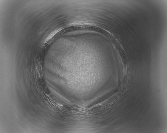 X0000085800871200703301455