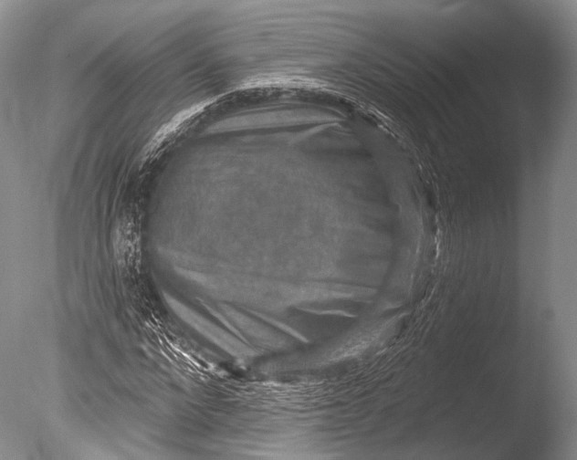 X0000085800872200703301455