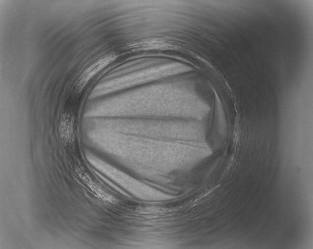 X0000085800873200703301455