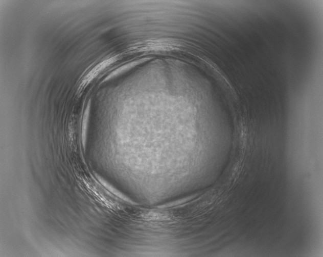 X0000085800874200703301455