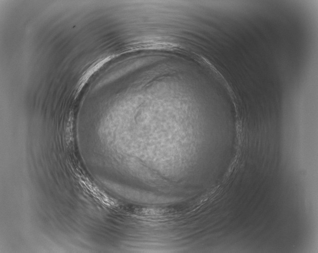 X0000085800875200703301455